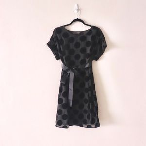 [SOLD]   Velvet Organza Dot Dress by Ann Taylor